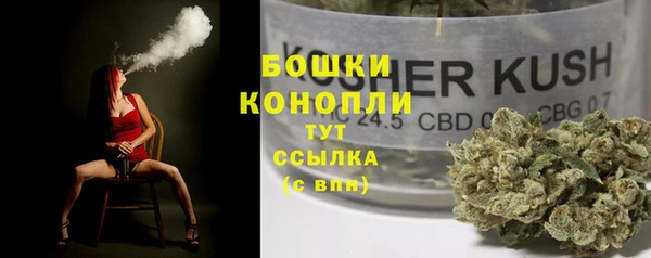 индика Абинск