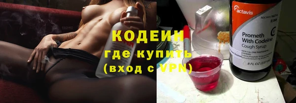 индика Абинск
