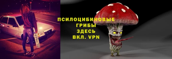 сатива Абдулино