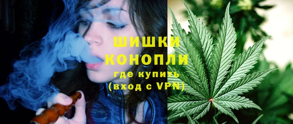 сатива Абдулино