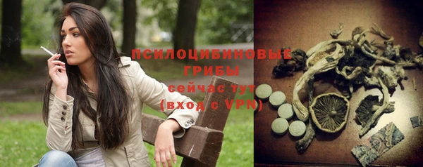 индика Абинск