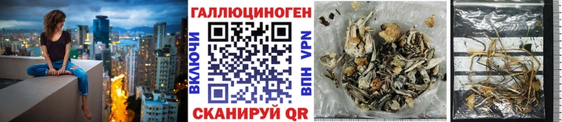 Галлюциногенные грибы MAGIC MUSHROOMS  Черногорск 