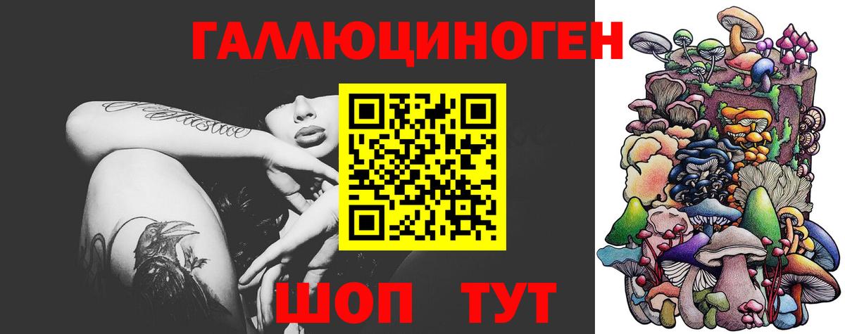 Черногорск  Псилоцибиновые грибы GOLDEN TEACHER  Вход с VPN 